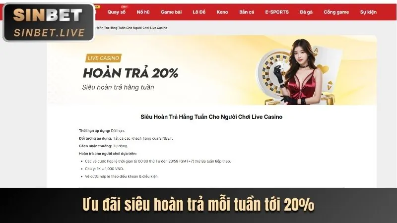 Hoàn Trả Tiền Cược